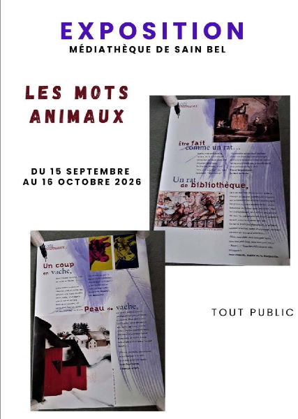 Exposition à la médiathèque