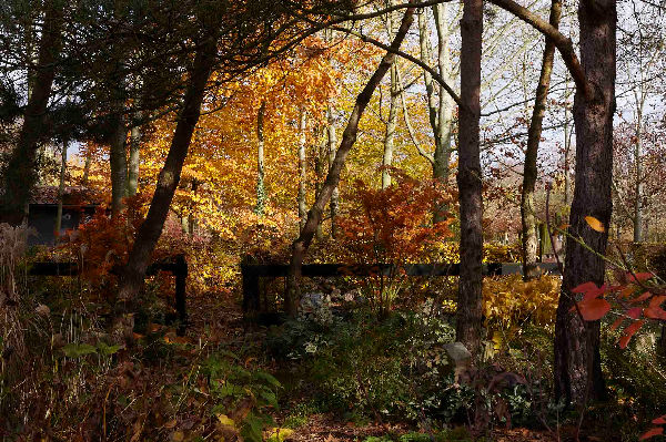 Visites du Jardin du Lansau