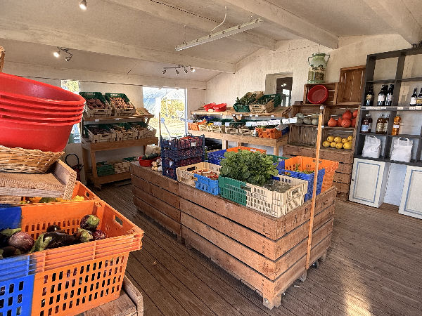 Le Potager de la Coccinelle