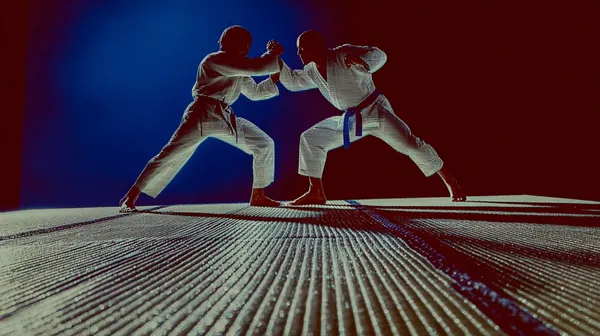 Stage multi-activités Judo