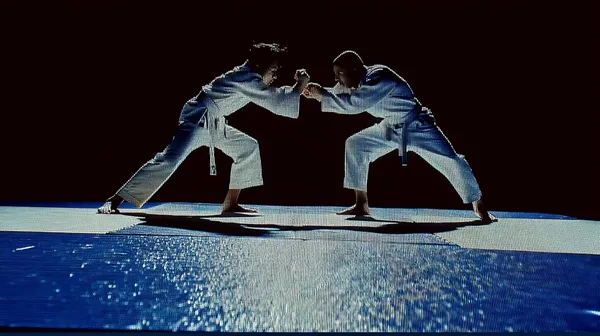 Stage multi-activités Judo