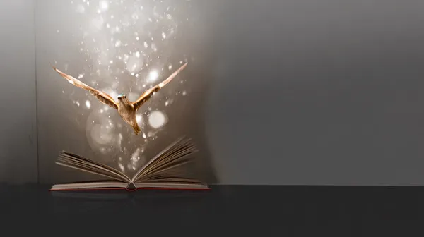 Les Petits Champions de la lecture