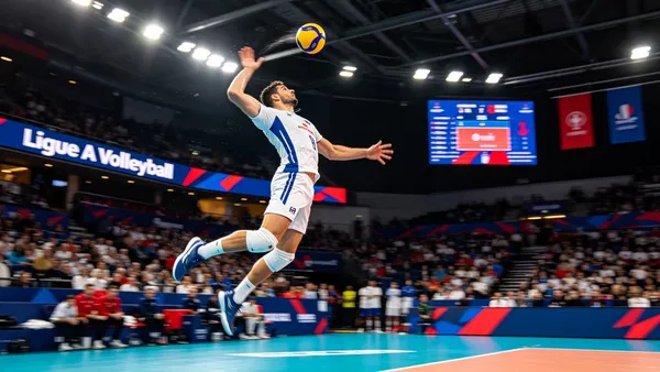 Animation Volley Ball - City Stade