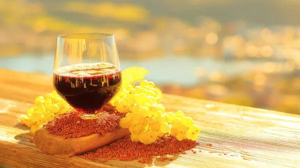 Le vignoble en calèche de la Maison Langlois