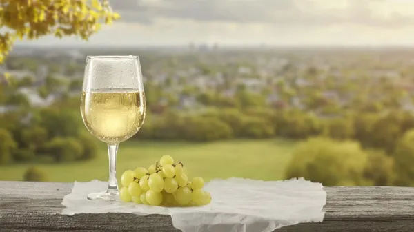 Ateliers de dégustation de produits locaux : vins locaux