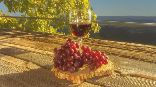 Soirée à thème "Mets et Vins" au Domaine de Terrebrune