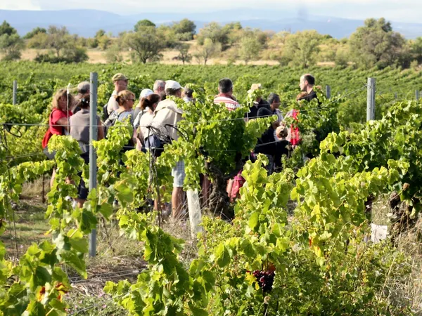BALADES VIGNERONNES EN GRAND CARCASSONNE - CHÂTEAU L’AMIRAL