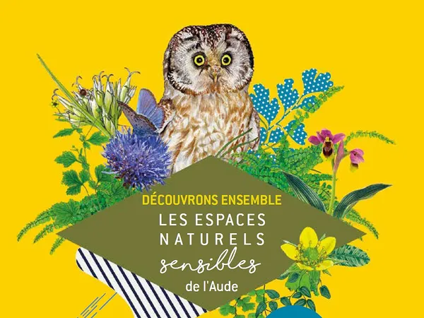 ENS - CHAUVE-SOURIS ET CIEL ÉTOILÉ : COCKTAIL NOCTURNE DE RÊVE !