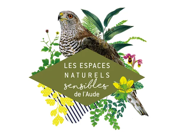 ENS - JOURNÉE EUROPÉENNE DES OISEAUX MIGRATEURS