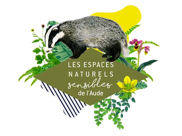 ENS - DES OISEAUX SUR LA ROUTE DU RETOUR