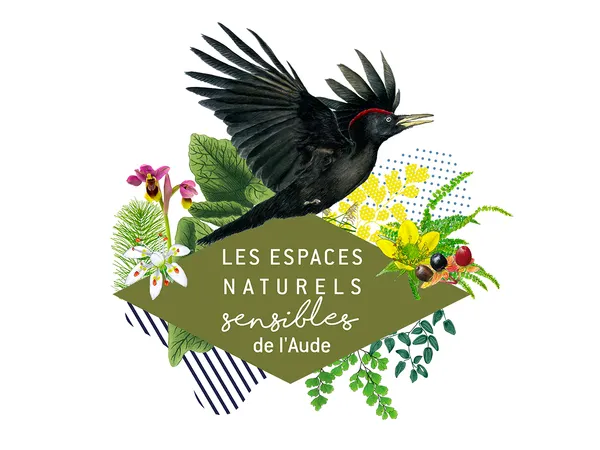 ENS - À L'ÉCOUTE DES ANIMAUX DE LA NUIT