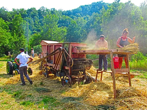17ÈME FÊTE D’ANTAN