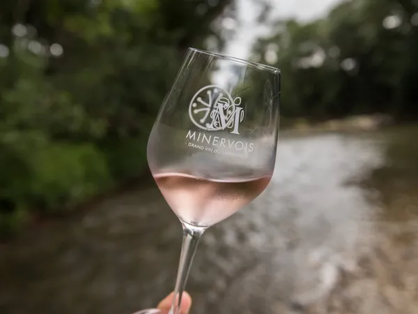 ENTRE VERRES ET VIGNES