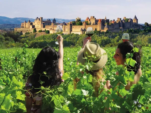 BALADES VIGNERONNES EN GRAND CARCASSONNE - DOMAINE FONTANILLE HAUT