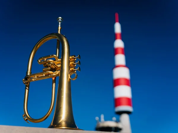 LA TOURNÉE INSOLITE - VISITES GUIDÉES MUSICALES