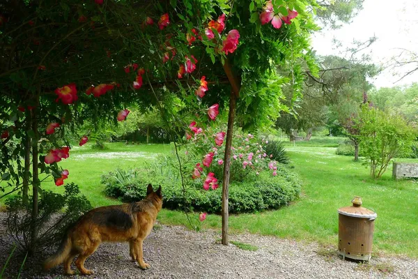 JOUR DES ARTISTES AU JARDIN