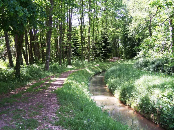 LECTURE DE PAYSAGE AMBULATOIRE