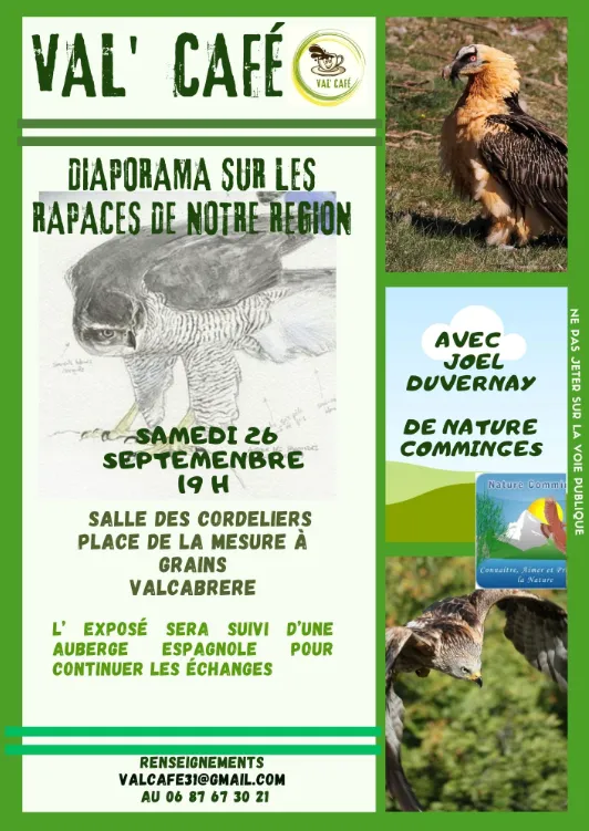 DIAPORAMA SUR LES RAPACES