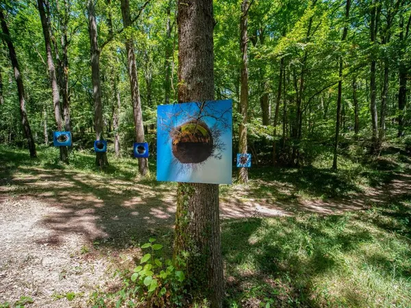 EXPOSITION EN FORÊT