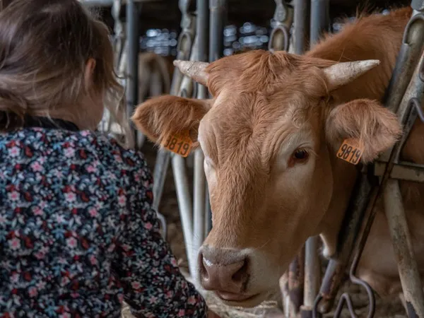 FERME DE LA TOUNINE