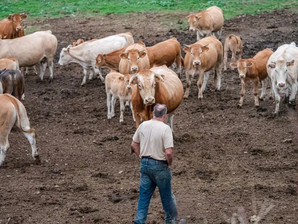 FERME DE LA TOUNINE