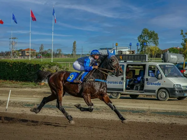 DANS LES COULISSES DE L'HIPPODROME