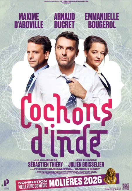 COCHON D'INDE