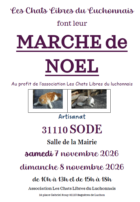 MARCHÉ DE NOËL