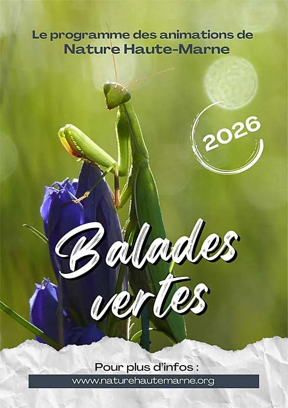Balades Vertes en Haute-Marne : Découverte des vergers de l’Amance-Apance