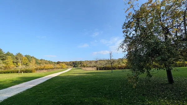 Sortie nature à Vauclair : "Arbres, fruits forestiers et cycle de la matière"