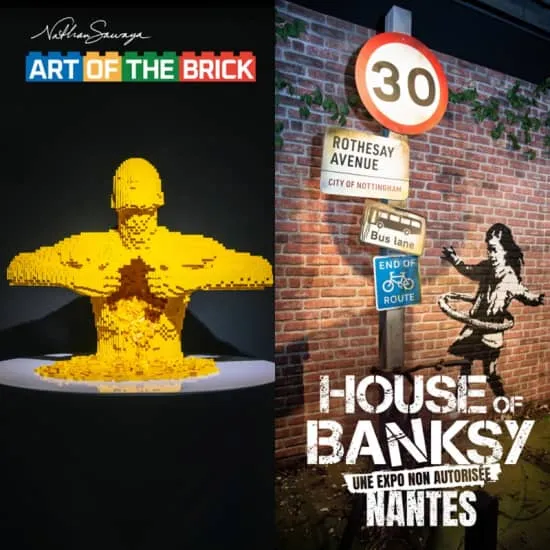 Billet combiné The Art of the Brick + House of Banksy