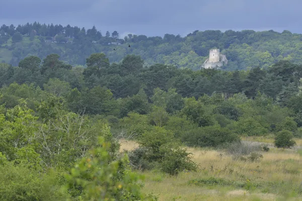 Randonnée naturaliste en Boucle de Moisson