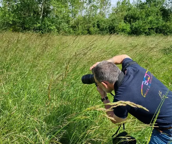 Photographie animalière aux Pâtis du Mesnil