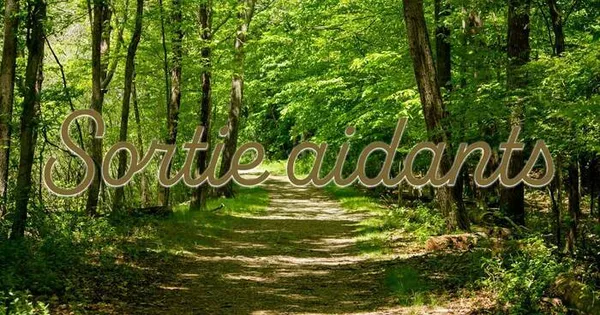 Sortie marche en forêt entre aidants