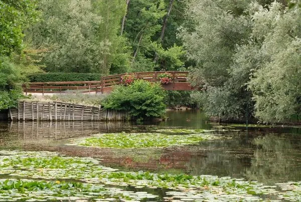 Promenez-vous dans le patrimoine naturel du parc Pierre Pitois