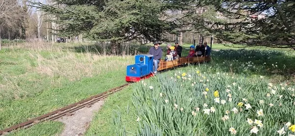 Le petit train dans la prairie des Fiancés