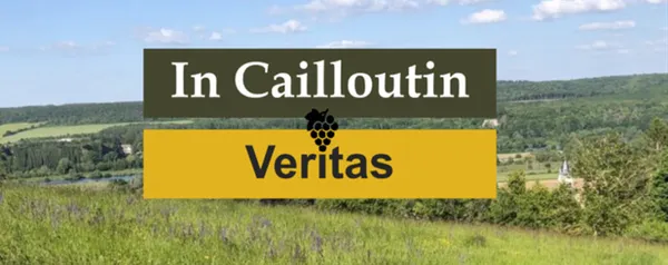 Conférence : présentation du patrimoine viticole et du vin local ressuscité