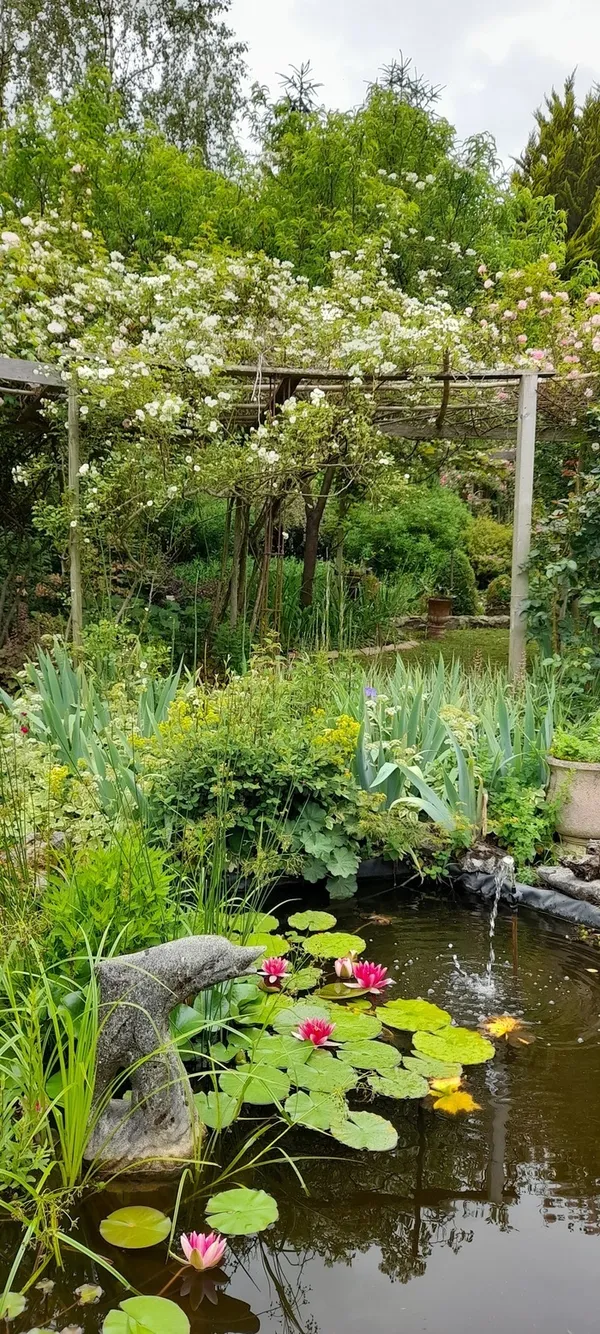 Déambulation dans le jardin
