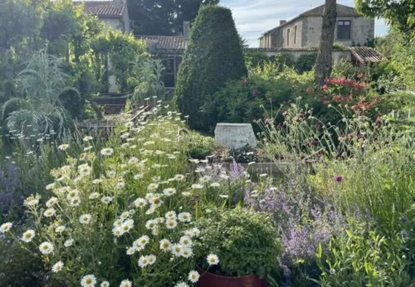 Au fil des regards au jardin de Riparfonds