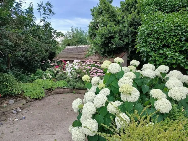 Visite du jardin de Martine POGGI