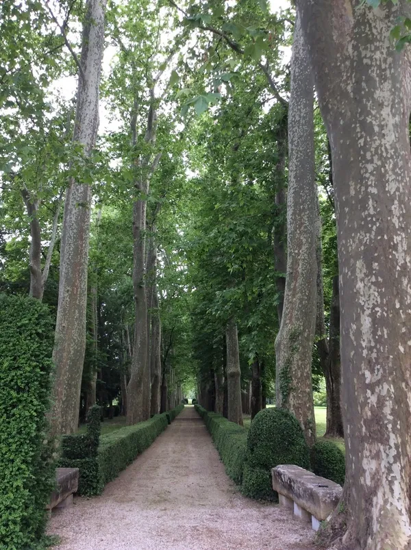Visite découverte du Parc du Domaine de La Tour