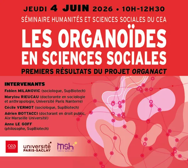 Les organoïdes en sciences sociales