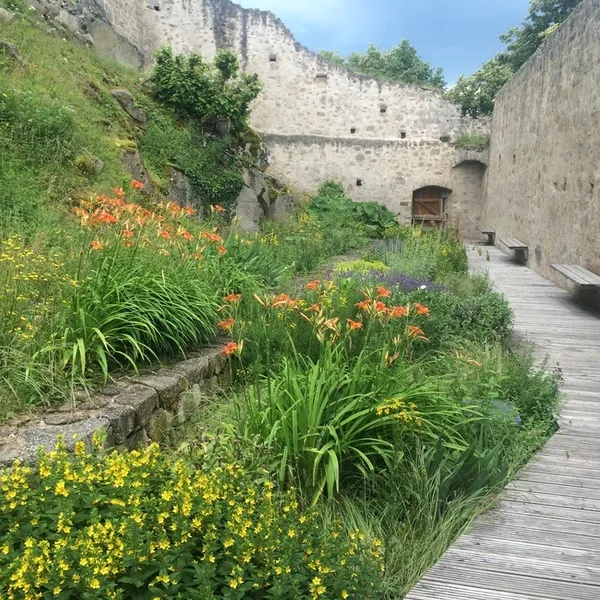 Regards sur le château et ses jardins !