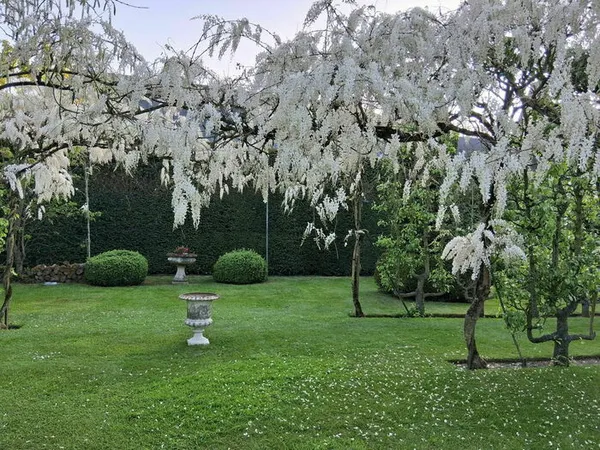Visite commentée du Jardin de Sarton