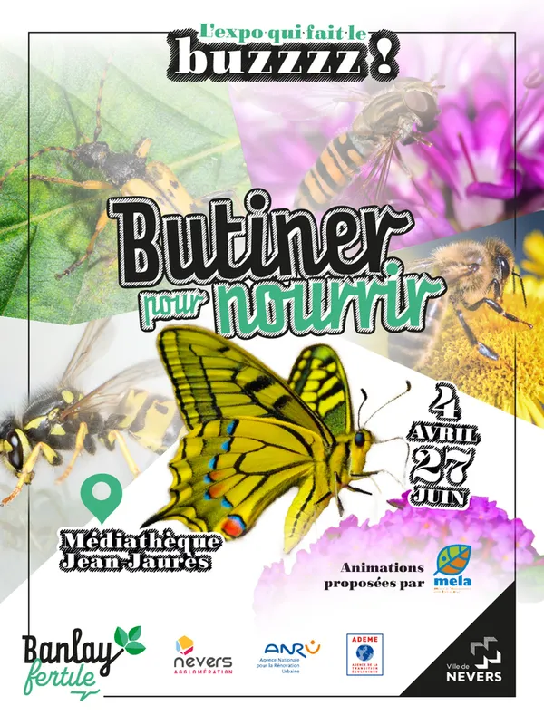 Exposition : Butiner pour nourrir, l'expo qui fait le buzzzz !