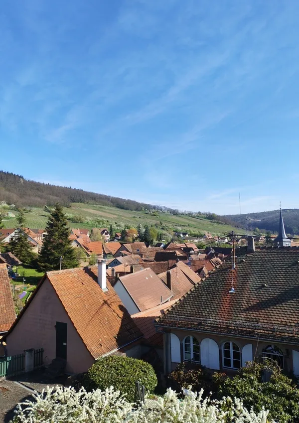 Points de vue sur les jardins