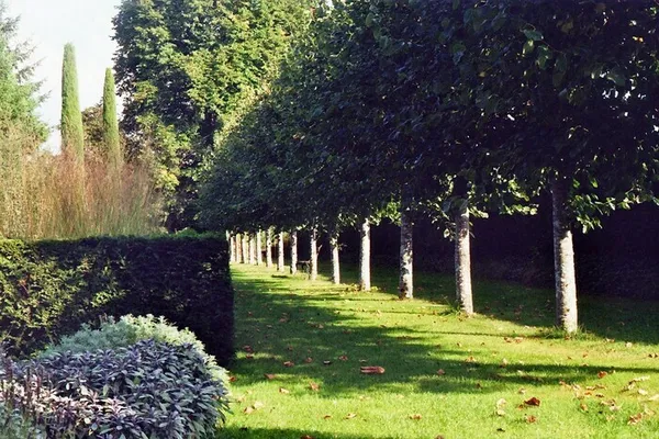 Visite à la découverte du jardin du presbytère