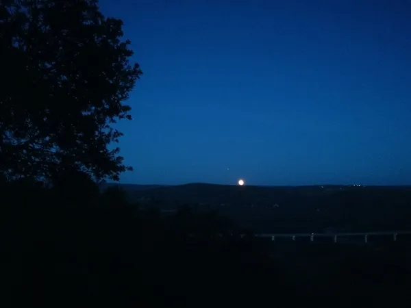 Nuit à la belle étoile au cœur de la forêt