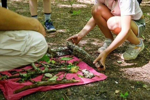 Détectives naturalistes