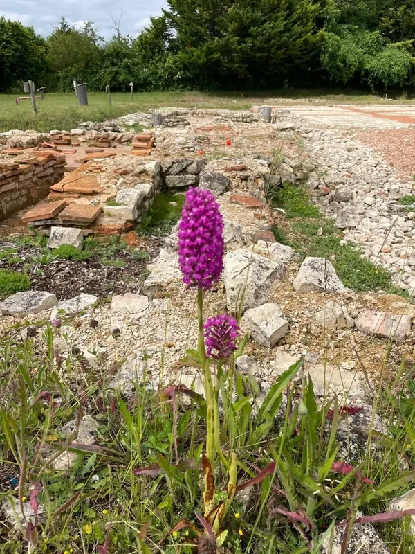 Balade Nature et Patrimoine avec la LPO